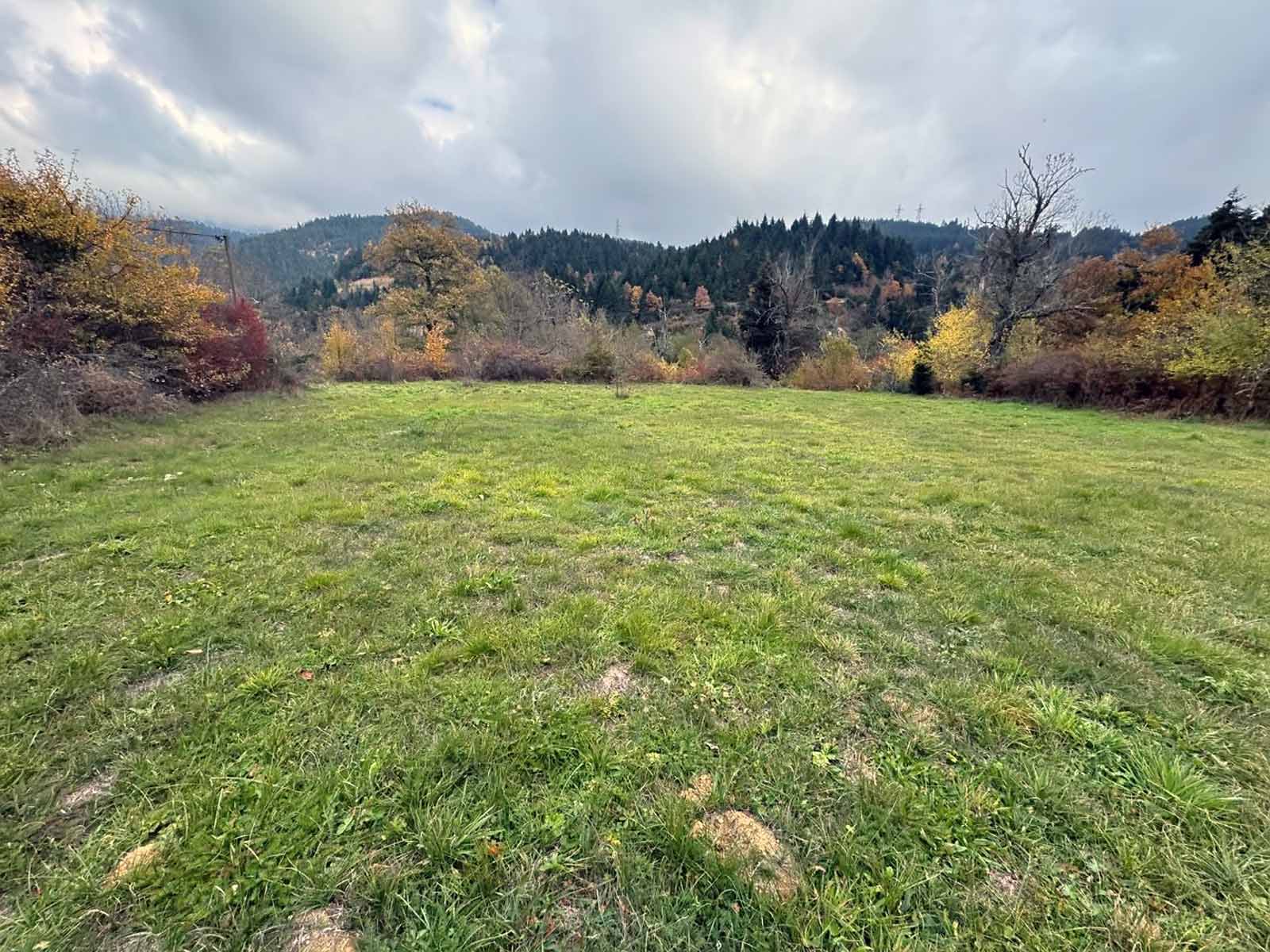 s202425 photo